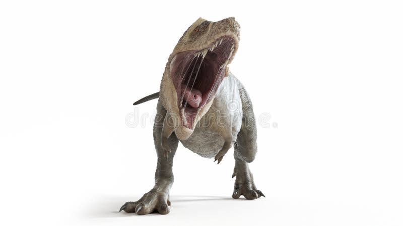 3d rendered medically accurate illustration of a T-rex. 3d rendered medically accurate illustration of a T-rex