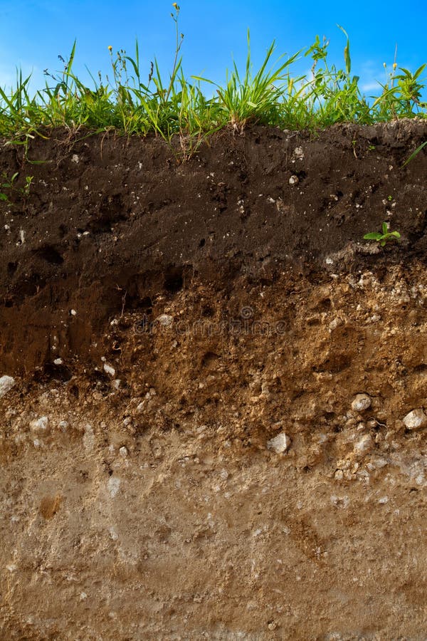 Un taglio di terreno Un taglio di terreno