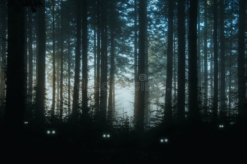 Un terrificante, foresta dei pini, parte posteriore di fantasia accesa con gli occhi spettrali e d'ardori delle creature nel sott