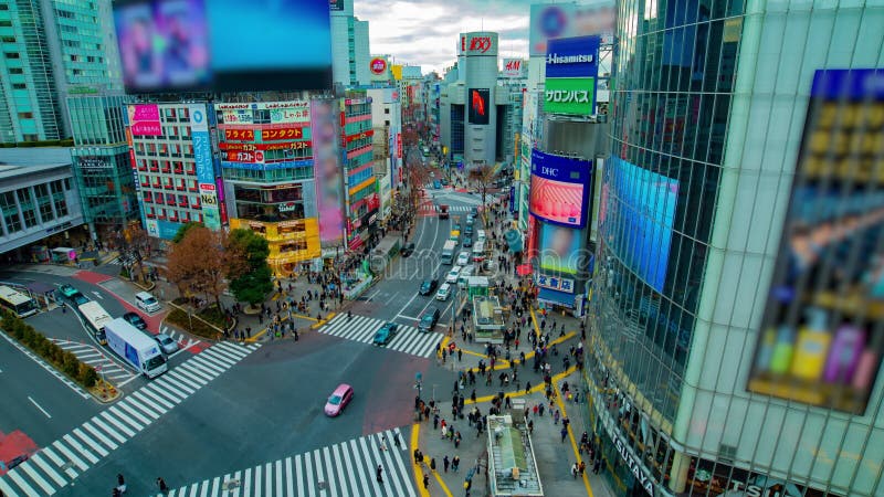 Un timelapse de la travesía famosa en d3ia amplio de la toma panorámica del tiro del alto ángulo de Shibuya Tokio