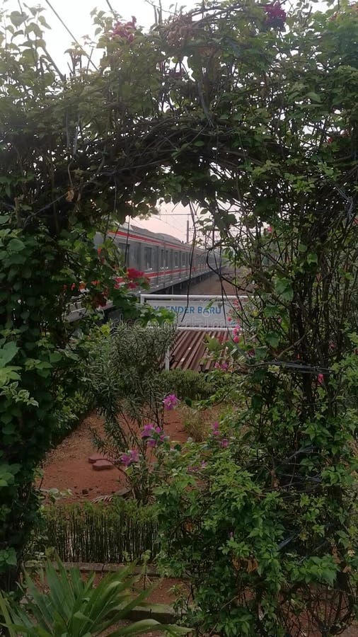 Un train arrive à la gare depuis un jardin fleuri clips vidéos