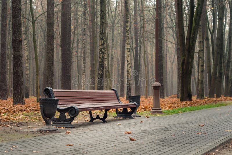 Un tranquillo parco urbano autunnale vuoto con foglie d'arancia cadute e una panchina di legno per rilassarsi lungo una piastrell immagini stock libere da diritti Un tranquillo parco urbano autunnale vuoto con foglie d'arancia cadute e una panchina di legno per rilassarsi lungo una piastrell immagini stock libere da diritti