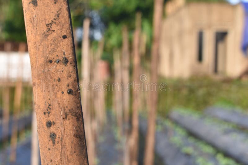 Quelqu Un Se Leve En Haut Photo Stock Image Du Leve