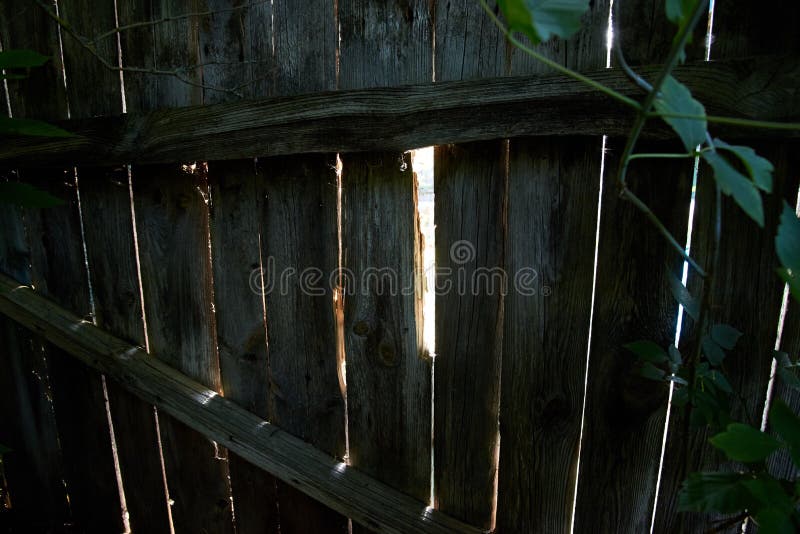 Un trou dans la barrière en bois dans l'arrière-cour du jardin image stock Un trou dans la barrière en bois dans l'arrière-cour du jardin image stock