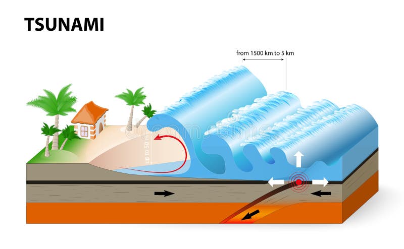 A tsunami is a series of huge waves. It washes against the coast several times with great speed and force. Tsunamis generated by submarine earthquakes travel at subsonic speed across the ocean surface. A tsunami is a series of huge waves. It washes against the coast several times with great speed and force. Tsunamis generated by submarine earthquakes travel at subsonic speed across the ocean surface.