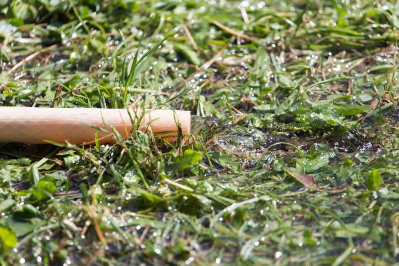 Un tubo flessibile dell'acqua nell'erba fotografie stock Un tubo flessibile dell'acqua nell'erba fotografie stock