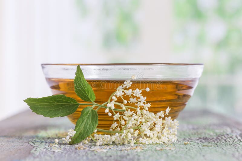 Un tè di sambuco del bowlof con un ramoscello dei fiori freschi e delle foglie fotografia stock libera da diritti Un tè di sambuco del bowlof con un ramoscello dei fiori freschi e delle foglie fotografia stock libera da diritti