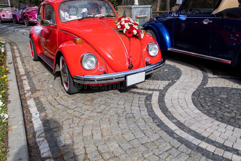Un uomo che guida un fiore rosso ornato un'auto classica a terra di pietra immagine stock libera da diritti Un uomo che guida un fiore rosso ornato un'auto classica a terra di pietra immagine stock libera da diritti