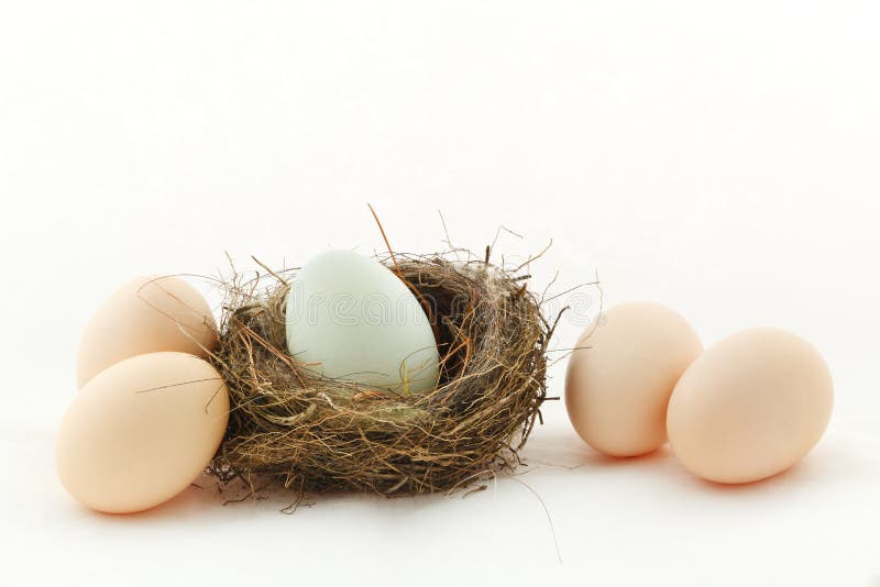 Un uovo all'interno del nido e di quattro uova all'esterno immagini stock libere da diritti Un uovo all'interno del nido e di quattro uova all'esterno immagini stock libere da diritti