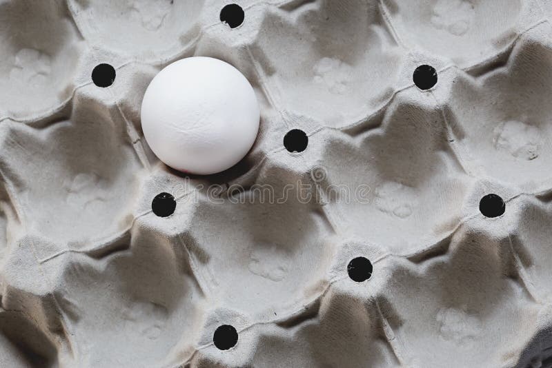 Un uovo bianco in un contenitore di cartone Vista superiore immagine stock libera da diritti Un uovo bianco in un contenitore di cartone Vista superiore immagine stock libera da diritti