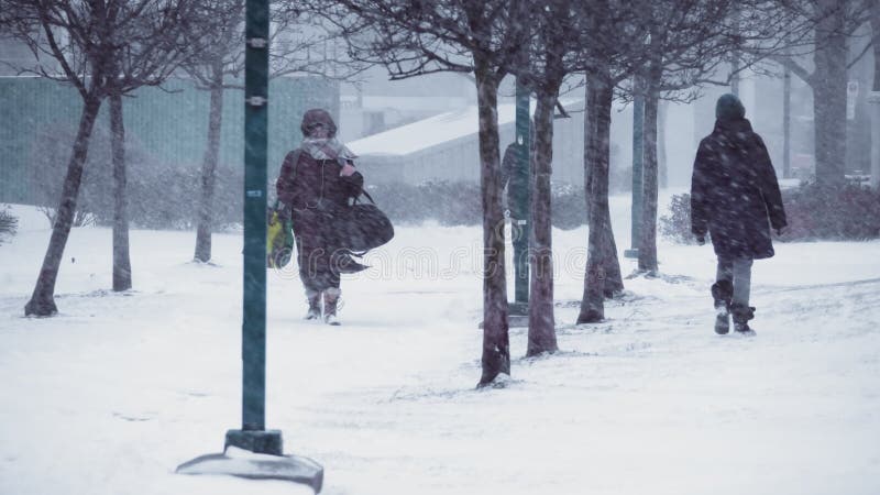 Un ventilado masivo golpea la ciudad