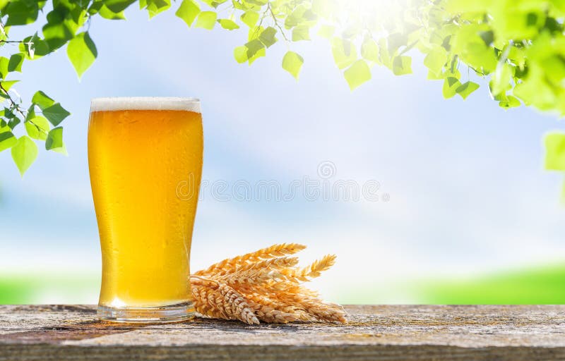 Un verre de bière froide placé sur une table avec un fond de bokeh extérieur doux image libre de droits
