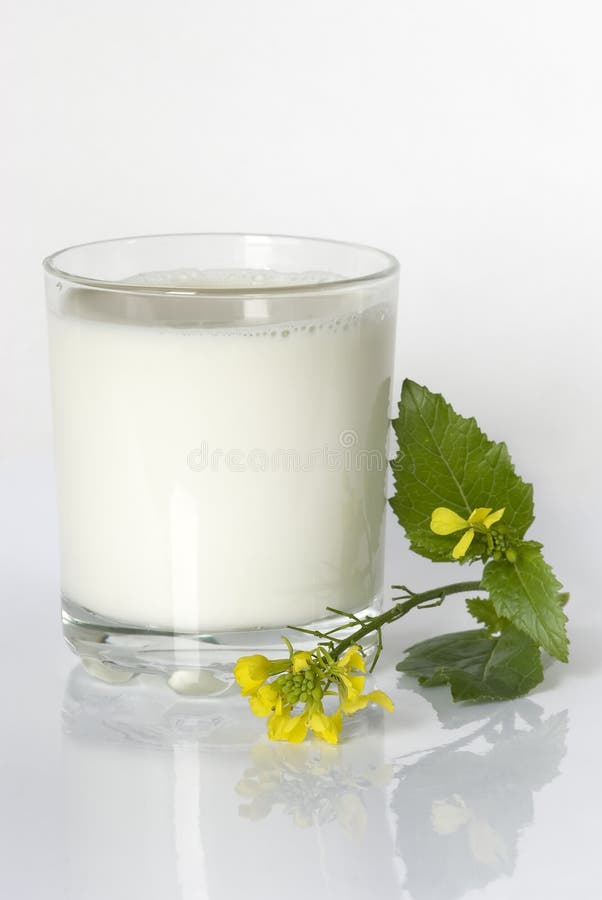 Un vidrio de leche y de berro de invierno imagen de archivo libre de regalías Un vidrio de leche y de berro de invierno imagen de archivo libre de regalías