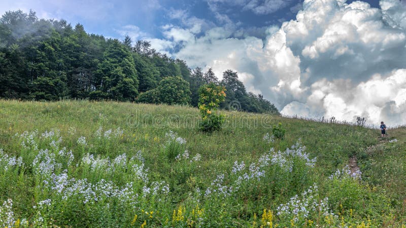 Un voyageur de garçon avec des poteaux d'un trekking marche le long du chemin vers le haut de la pente verte aux nuages épais photos libres de droits Un voyageur de garçon avec des poteaux d'un trekking marche le long du chemin vers le haut de la pente verte aux nuages épais photos libres de droits