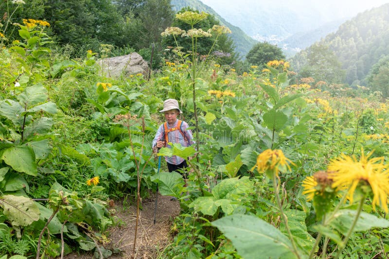Un voyageur de garçon avec des poteaux d'un trekking marche le long d'une traînée dans l'herbe grande épaisse photos libres de droits Un voyageur de garçon avec des poteaux d'un trekking marche le long d'une traînée dans l'herbe grande épaisse photos libres de droits