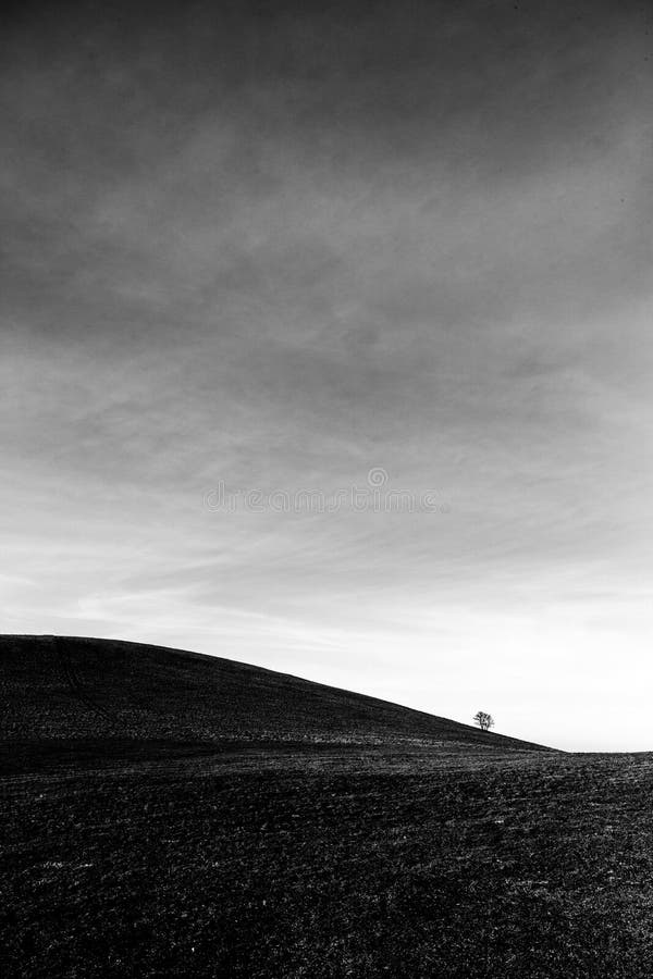 Un árbol distante, solo en una colina desnuda, debajo de un cielo grande con las nubes blancas fotos de archivo libres de regalías Un árbol distante, solo en una colina desnuda, debajo de un cielo grande con las nubes blancas fotos de archivo libres de regalías