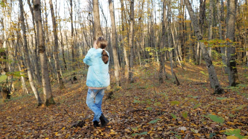 Una adolescente solitaria cammina attraverso la foresta autunnale. il bambino si è perso nella foresta. la ragazza passa attravers