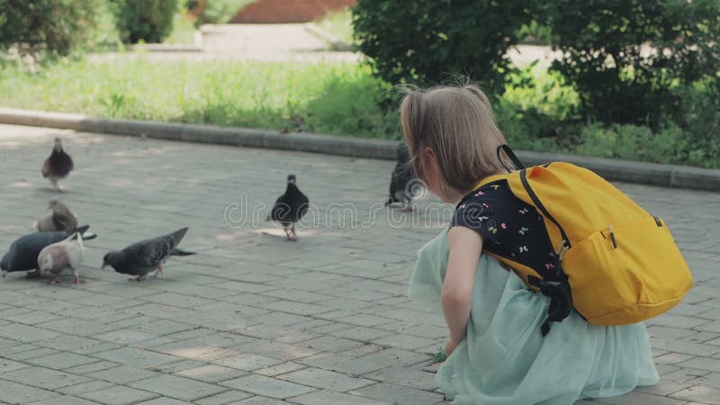 Una bambina nel parco nutre dei piccioni di grano.