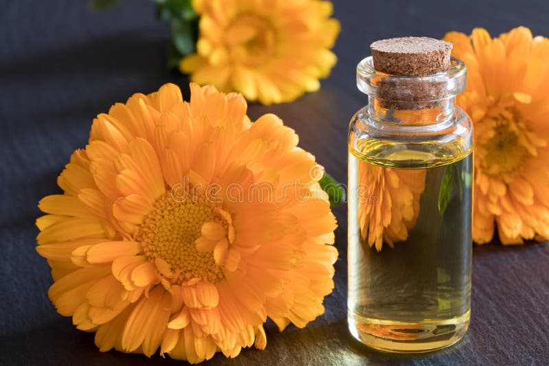 Una botella de aceite esencial del calendula en un fondo oscuro fotografía de archivo libre de regalías Una botella de aceite esencial del calendula en un fondo oscuro fotografía de archivo libre de regalías
