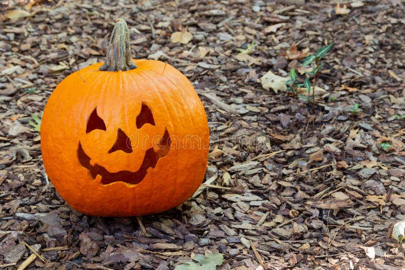Una calabaza amistosa, fantasmagórica de la Jack-o-linterna que se sienta en el pajote marrón en el jardín imagen de archivo Una calabaza amistosa, fantasmagórica de la Jack-o-linterna que se sienta en el pajote marrón en el jardín imagen de archivo