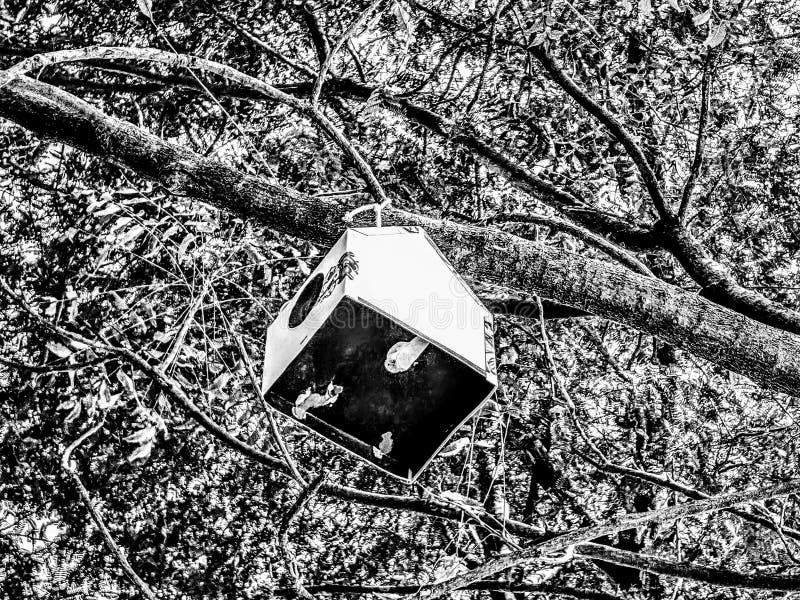 Una casa sull'albero per l'uccello immagini stock libere da diritti Una casa sull'albero per l'uccello immagini stock libere da diritti