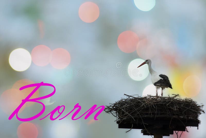 Picture of a stork that brings new life to the happy parents of a newborn child. Picture of a stork that brings new life to the happy parents of a newborn child