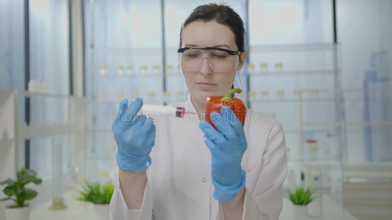Una científica le da una inyección con una jeringa con líquido a un tomate en un laboratorio moderno