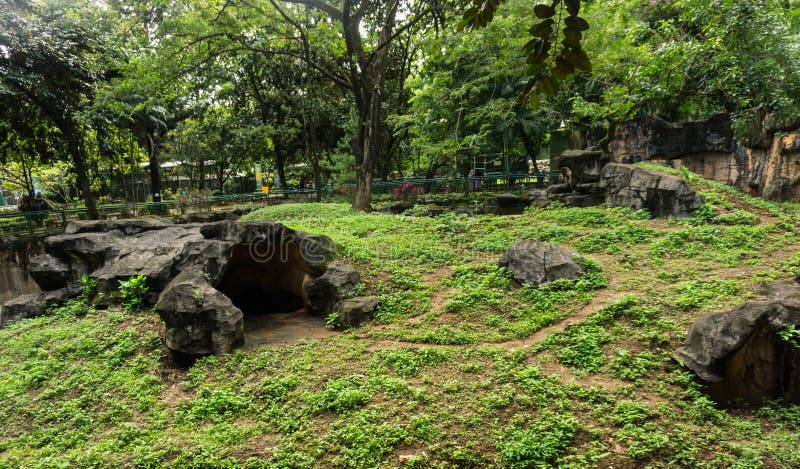 Una collina artificiale con le rocce fatte da cemento che circonda dagli alberi Jakarta contenuta foto Indonesia immagini stock libere da diritti Una collina artificiale con le rocce fatte da cemento che circonda dagli alberi Jakarta contenuta foto Indonesia immagini stock libere da diritti
