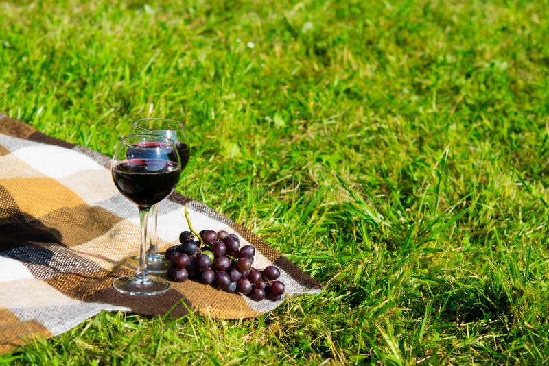 Una composición romántica en la tela escocesa de la hierba en una jaula, dos vidrios de vino y un manojo de uvas negras imágenes de archivo libres de regalías