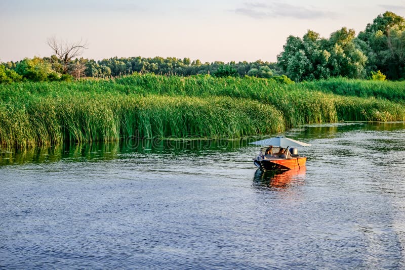 A couple is resting on a boat against the background of reeds on the Konka River floodplain in Kherson Ukraine. Adults sail on a small private ship in a swampy wetland. A couple is resting on a boat against the background of reeds on the Konka River floodplain in Kherson Ukraine. Adults sail on a small private ship in a swampy wetland