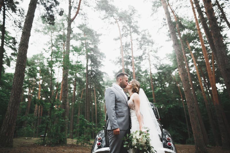 Just married couple in the luxury retro car on their wedding day. Just married couple in the luxury retro car on their wedding day.