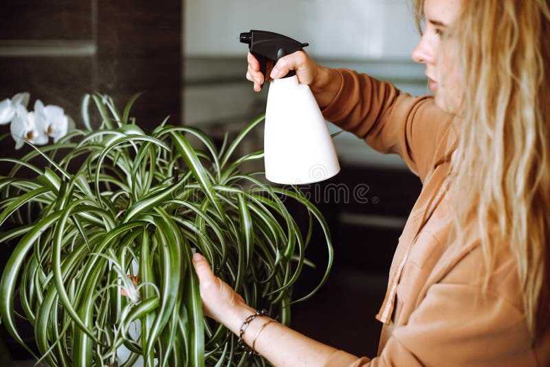 Una donna bionda attraente spruzzata in una pianta verde a casa con un'acqua spruzzante di una bottiglia spray. piante da coltivaz