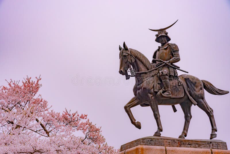 una-estatua-de-masamune-date-que-inscribe-caballo-sendai-castle-en-la-flor-cerezo-plena-floraci%C3%B3n-parque-aobayama-miyagi-jap%C3%B3n-137026420.jpg