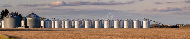 Una fila di contenitori di grano