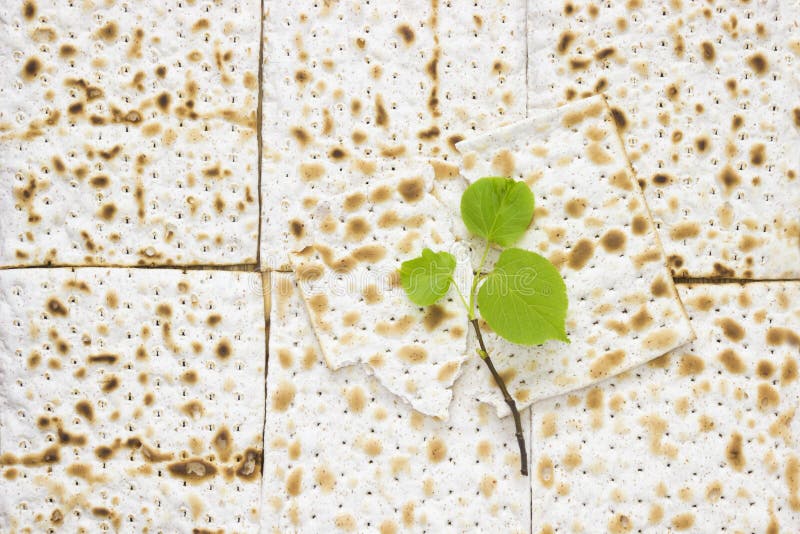 Una foto de arriba de pedazos del matzah o del matza y de una rama de árbol fresca de tilo de la pequeña primavera Matzah en la t foto de archivo libre de regalías Una foto de arriba de pedazos del matzah o del matza y de una rama de árbol fresca de tilo de la pequeña primavera Matzah en la t foto de archivo libre de regalías