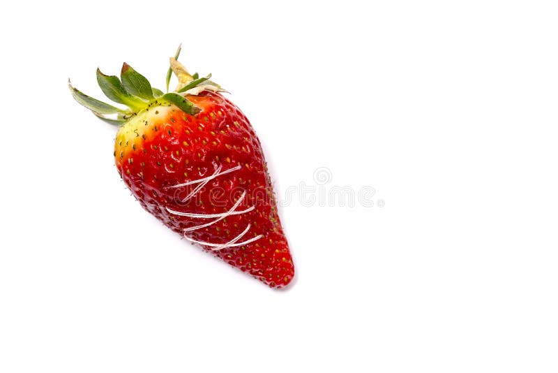 Una fresa quebrada cosida El concepto de comida sana Strawberr imagen de archivo libre de regalías Una fresa quebrada cosida El concepto de comida sana Strawberr imagen de archivo libre de regalías