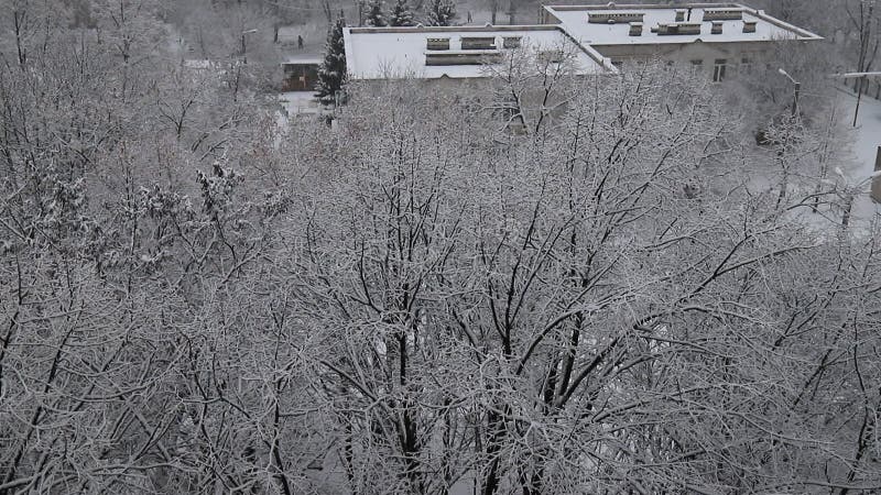 Una fuerte tormenta de nieve barre árboles y edificios en la vista aérea de la ciudad. nevada de paisaje de nieve en invierno.