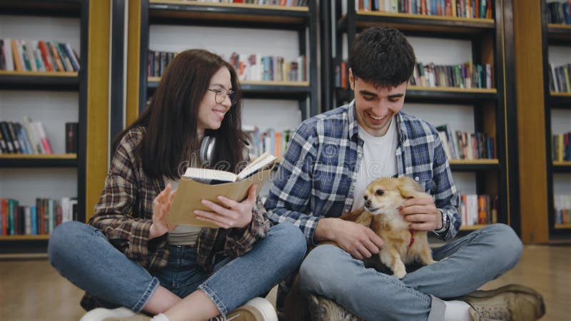 Una giovane coppia ama leggere e passare del tempo con un cagnolino in una comoda biblioteca in un pomeriggio rilassato video d archivio