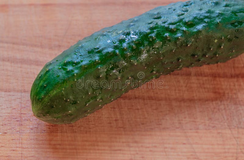 There is one object on the horizontal photo. It is a fresh, medium-sized raw cucumber. It`s green, whole, with drops of water. There is one object on the horizontal photo. It is a fresh, medium-sized raw cucumber. It`s green, whole, with drops of water