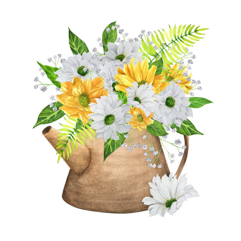 Una lattina d'acqua con crisantemo bianco e giallo gipsophila foglie verdi. Ciliegia. Florale illustrazione di stock
