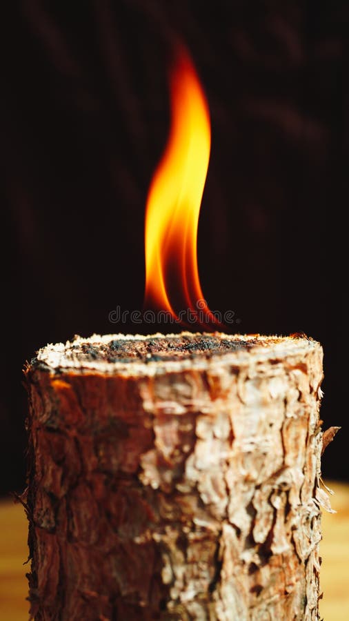 Una llama ardiendo en un tronco de madera sobre un fondo oscuro. Disparo de una llama sobre un tronco de madera con un fondo oscuro