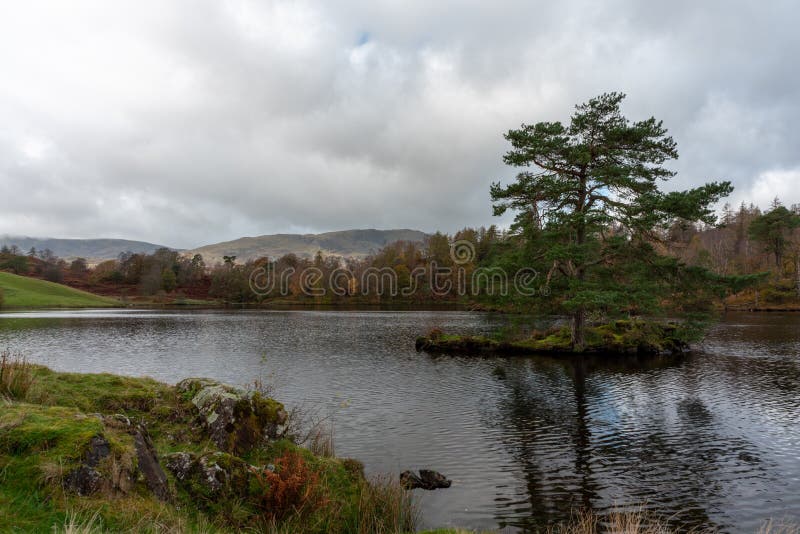 Una luce mattutina a Tarn Hows nel Distretto del Lago Inglese con viste di Yewdale Crag e Holme Fell in autunno fotografia stock