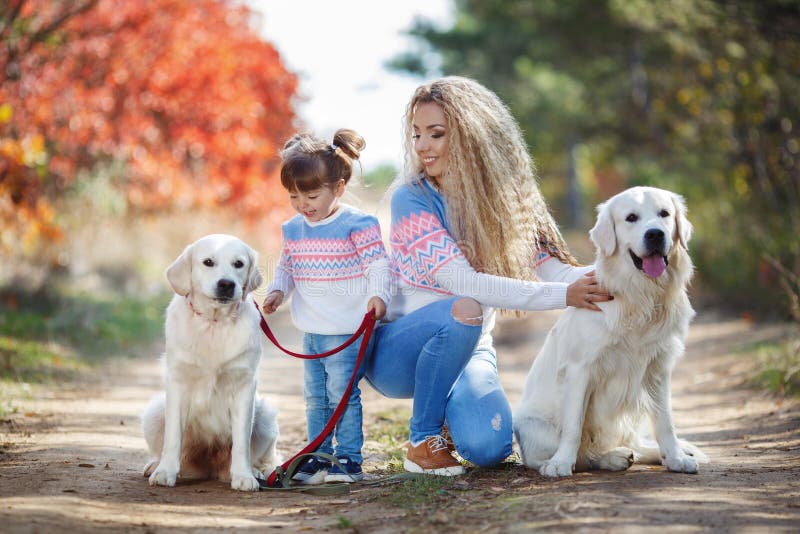 Una madre joven con una niña y dos perros en un paseo en el parque en otoño imagen de archivo Una madre joven con una niña y dos perros en un paseo en el parque en otoño imagen de archivo