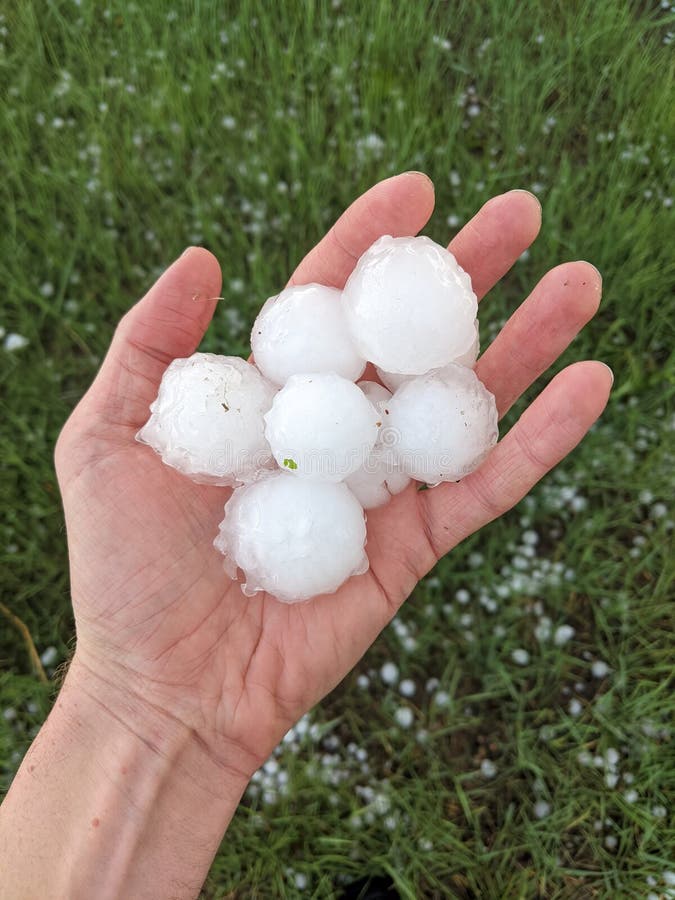 A personâ€™s hand holding many large hailstones ranging from half dollar to golf ball sized after a severe storm has passed. Hailstones can be seen scattered in the grass in the background. A personâ€™s hand holding many large hailstones ranging from half dollar to golf ball sized after a severe storm has passed. Hailstones can be seen scattered in the grass in the background.