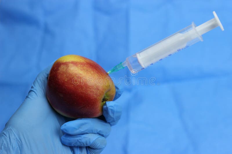 Una mano en un guante azul es inyectar una manzana foto de archivo libre de regalías Una mano en un guante azul es inyectar una manzana foto de archivo libre de regalías