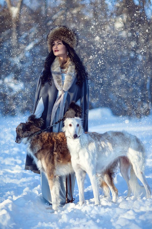 Una muchacha con los galgos en la nieve foto de archivo Una muchacha con los galgos en la nieve foto de archivo