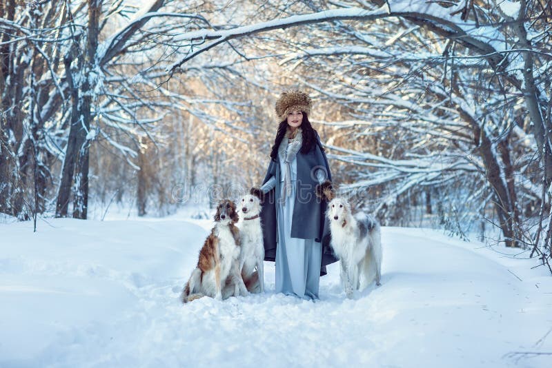 Una muchacha con los galgos en la nieve foto de archivo Una muchacha con los galgos en la nieve foto de archivo