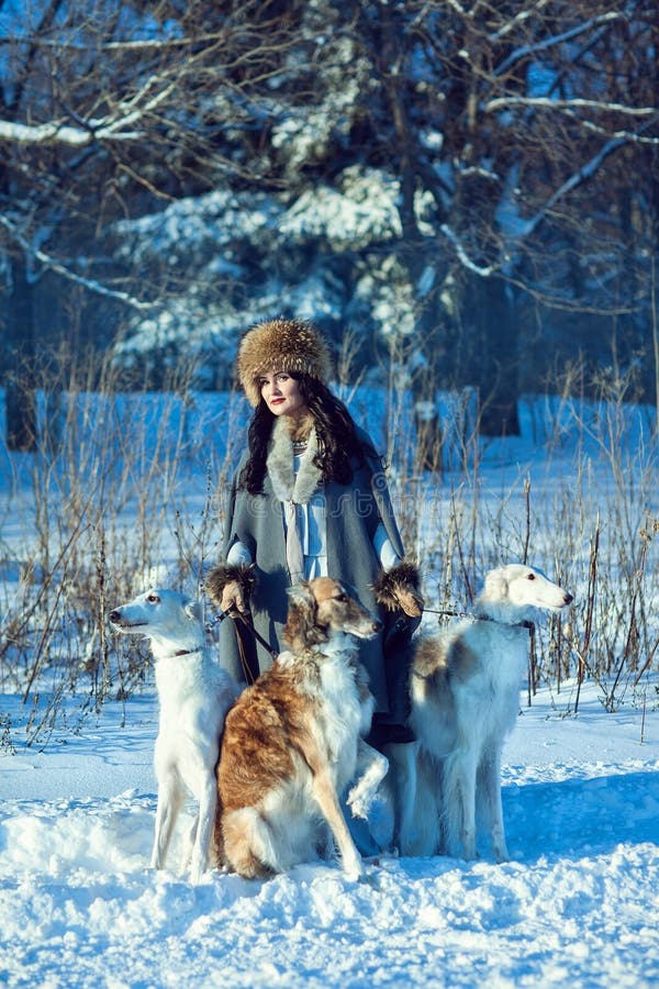 Una muchacha con los galgos en la nieve fotos de archivo libres de regalías Una muchacha con los galgos en la nieve fotos de archivo libres de regalías