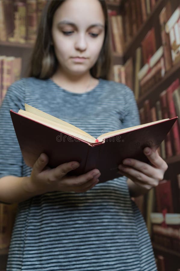 Una muchacha en un vestido gris que lee un libro en la biblioteca Foco suave fotos de archivo libres de regalías Una muchacha en un vestido gris que lee un libro en la biblioteca Foco suave fotos de archivo libres de regalías