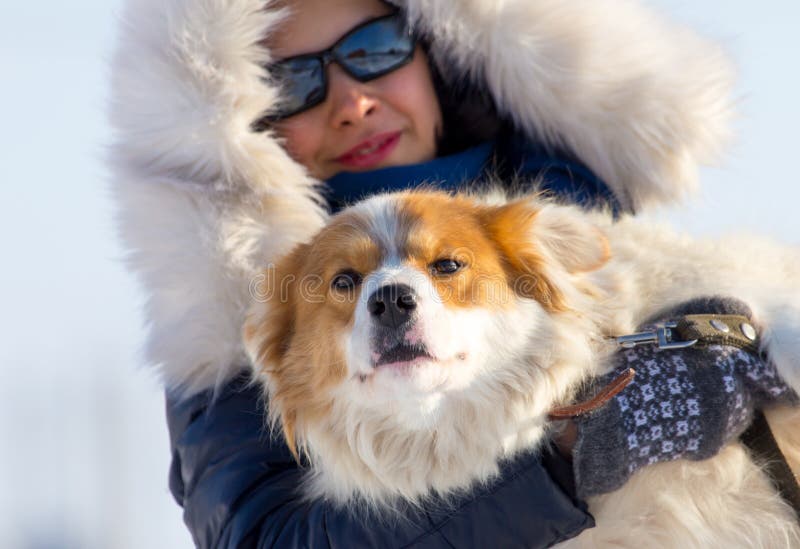 Una muchacha está sosteniendo un perro en sus brazos en invierno foto de archivo libre de regalías Una muchacha está sosteniendo un perro en sus brazos en invierno foto de archivo libre de regalías